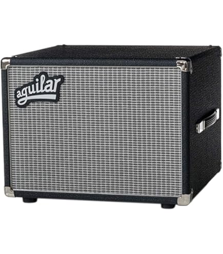 Amazon.com: Aguilar SL 112 1x12 Inches Bass Amplifier Cabinet